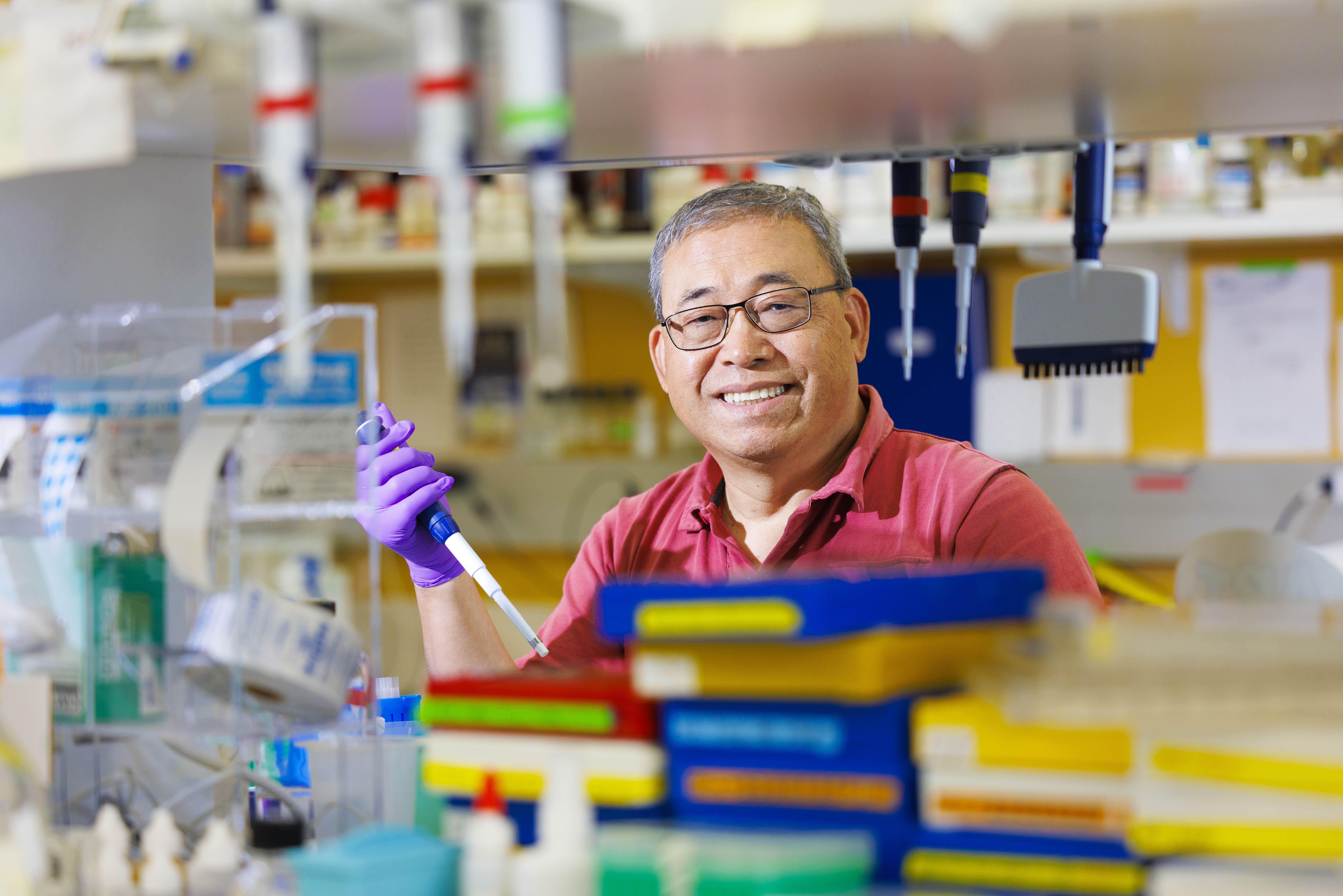 Qingsheng Li, Willa Cather Professor of biological sciences and a member of the Nebraska Center for Virology at the University of Nebraska–Lincoln, appears in his lab.