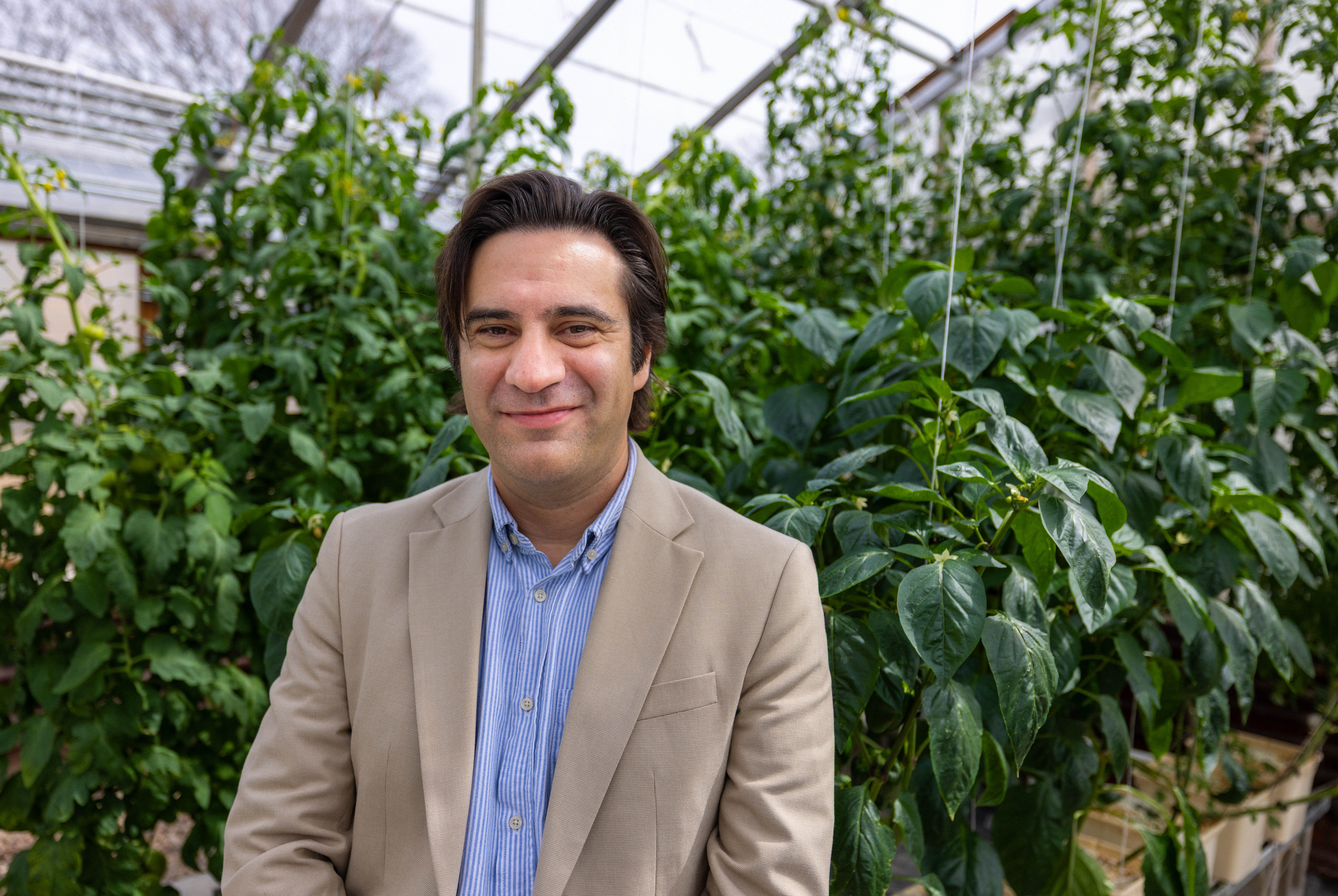 Patricio Grassini, professor of agronomy and horticulture, stands in front of lush green plants.