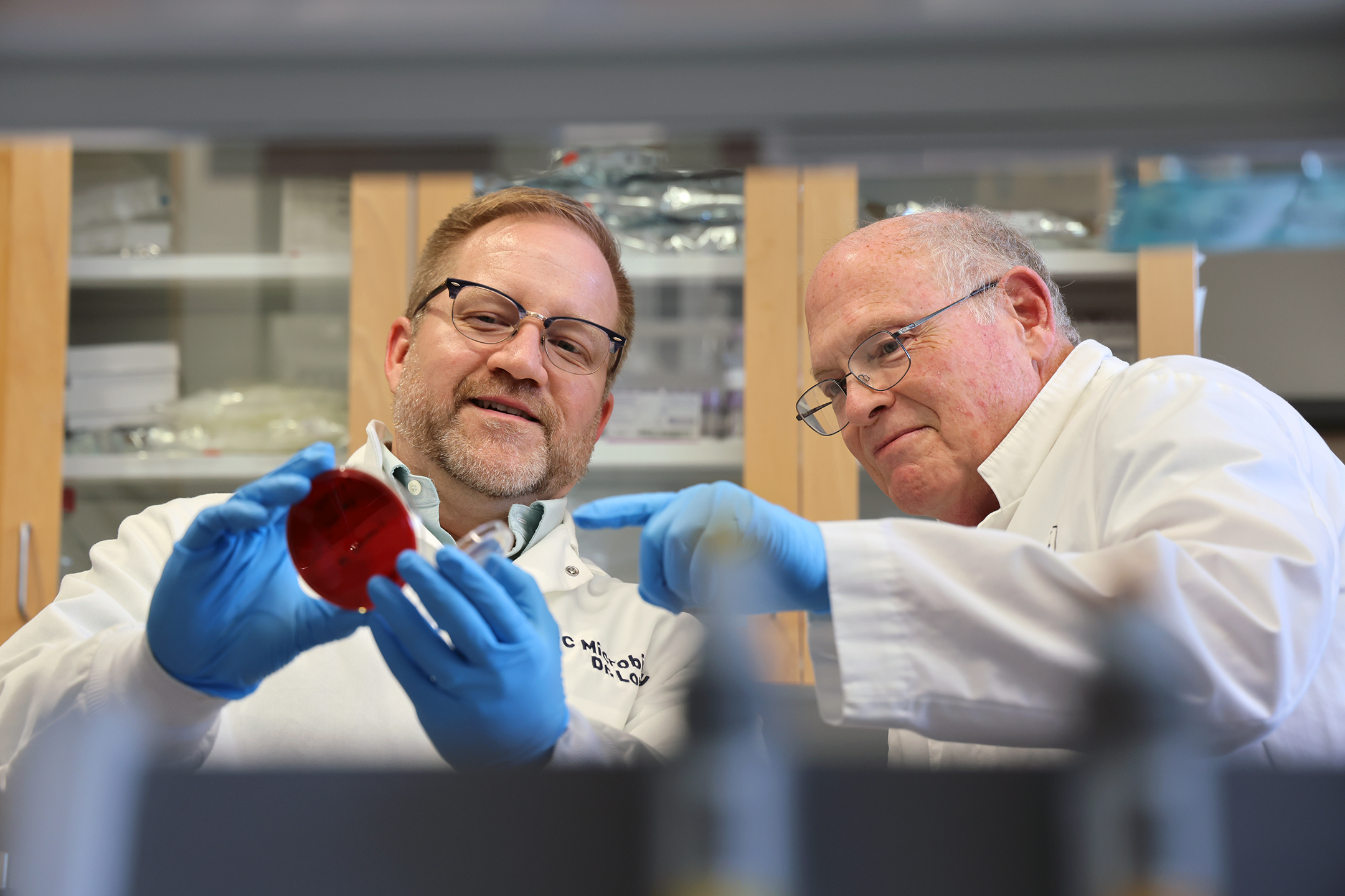 Dustin Loy (left) and Scott McVey examine bacterial culture from a calf with pink eye on a blood auger plate in a lab in the Nebraska Veterinary Diagnostic Center.