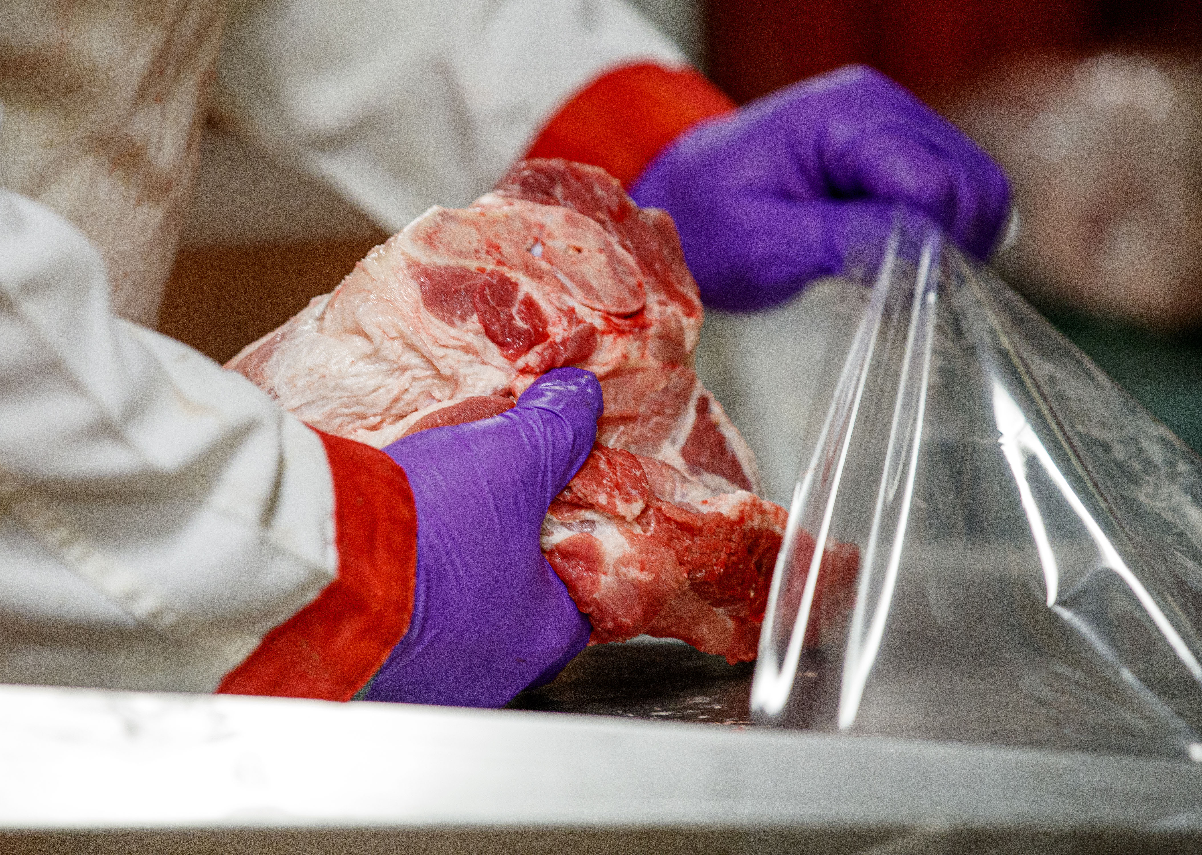 A person wearing a white labcoat and purple gloves packs a cut of pork into a plastic bag.