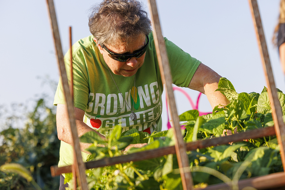 A person harvesting a garden is visible through leaves and garden lattice.