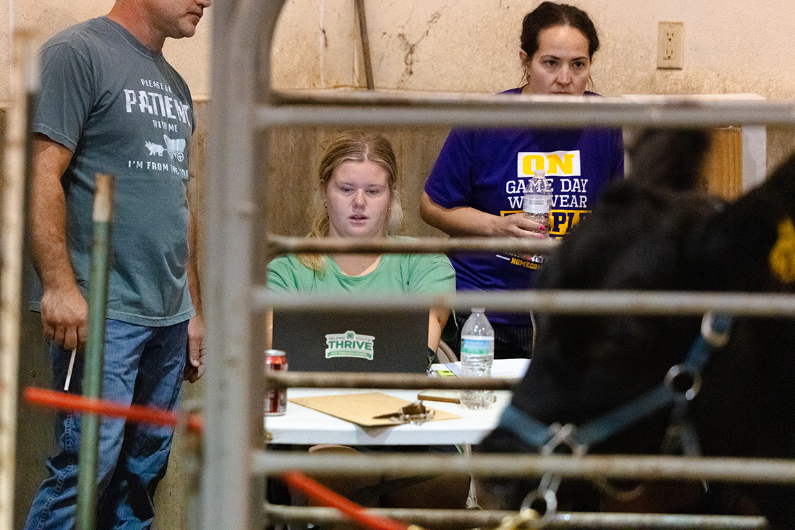  Kristen Herrick, 4-H extension assistant, enters data during livestock entry at the Otoe County Fair on Thursday, July 31.