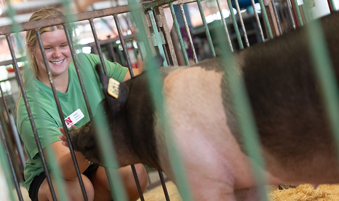 Kristen Herrick greets a 4-H pig. As a 4-H'er herself, she showed pigs, and started a business selling show pigs.