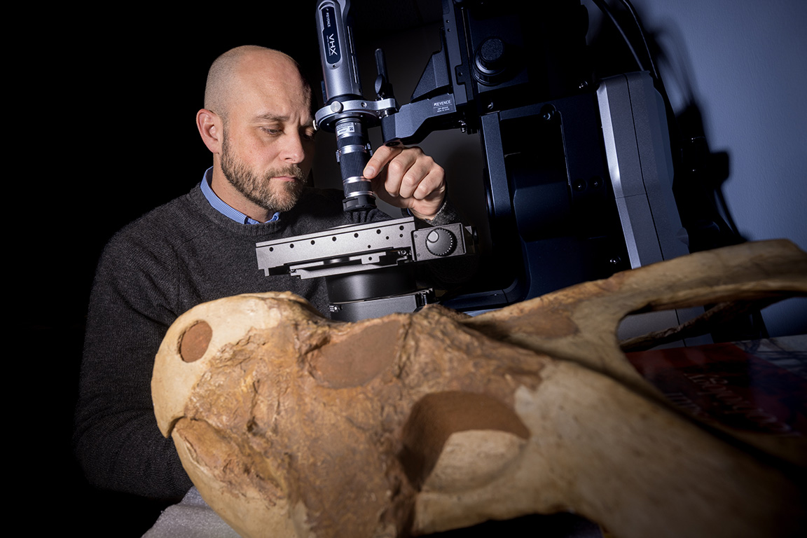 Ashley Poust uses a Keyence VHX-7000 microscope to examine a histological slide of the fossil bone tissue of a theropod dinosaur.