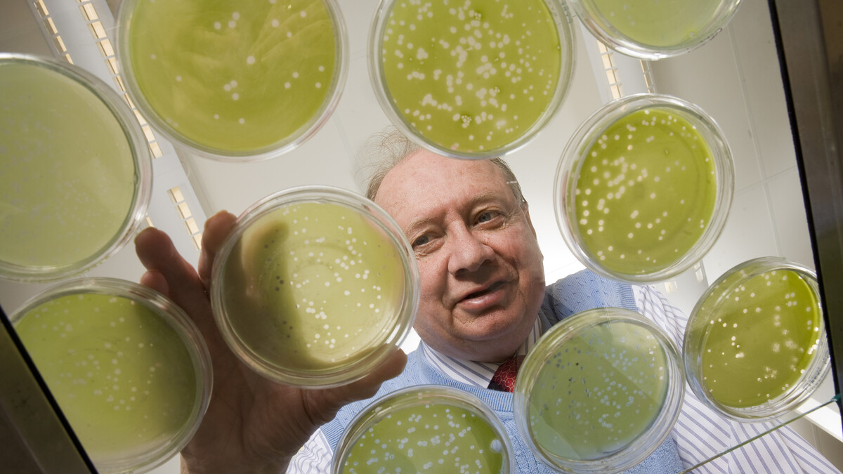 James Van Etten is the William Allington Distinguished Professor of Plant Pathology at UNL and a co-director of the Nebraska Center for Virology.