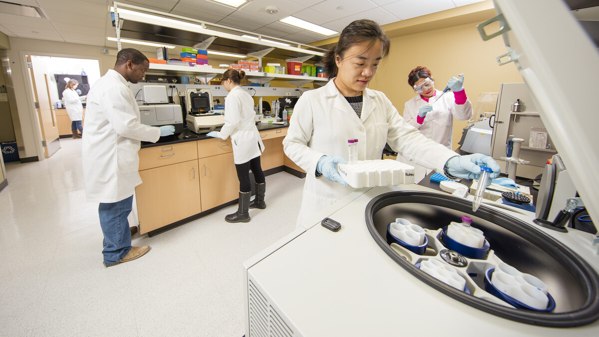 UNL researchers work in the Biomedical and Obesity Research Core in Leverton Hall. Springer Nature recently named UNL to its international list of 2016 Rising Stars.