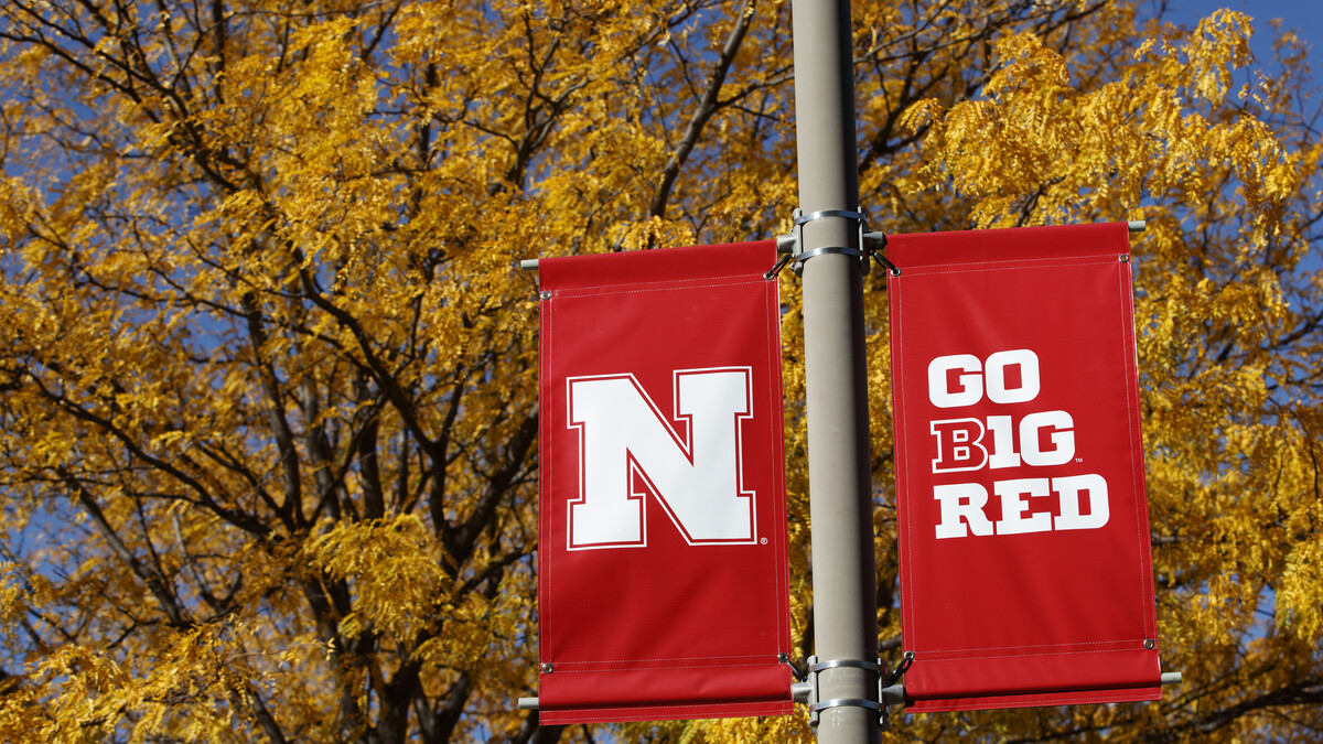 The Office of the Executive Vice Chancellor has announced its annual selection of faculty who will attend two Big Ten Academic Alliance leadership programs this year.