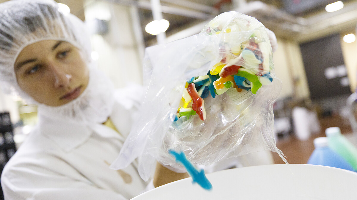 Alec Alvarez, a senior food science and technology major and student employee in the Dairy Store, measures shark gummy candies in a bucket prior to adding it to the Shark Week ice cream mixture.