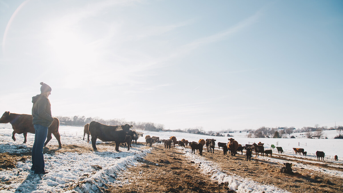 Esch Oak Barn Beef