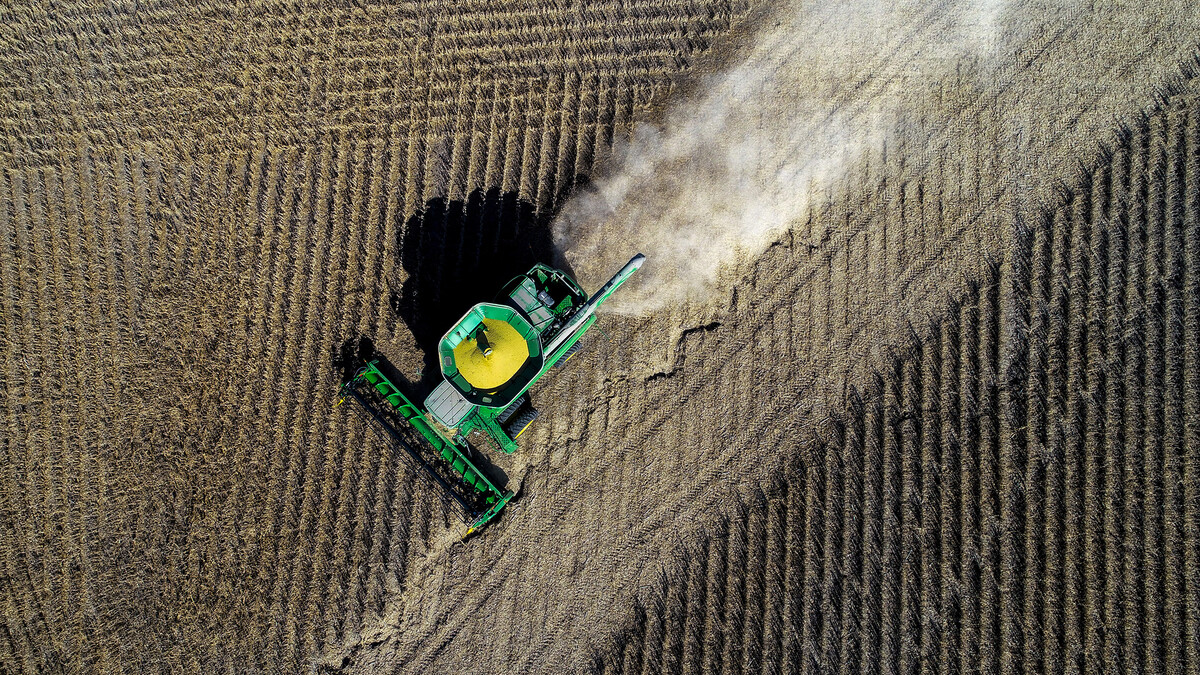 Soybean harvest