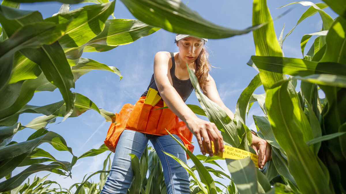 National Farmer's Day