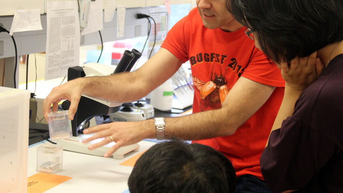 Entomology graduate student Adriano Pereira educates visitors during Bugfest 2013.