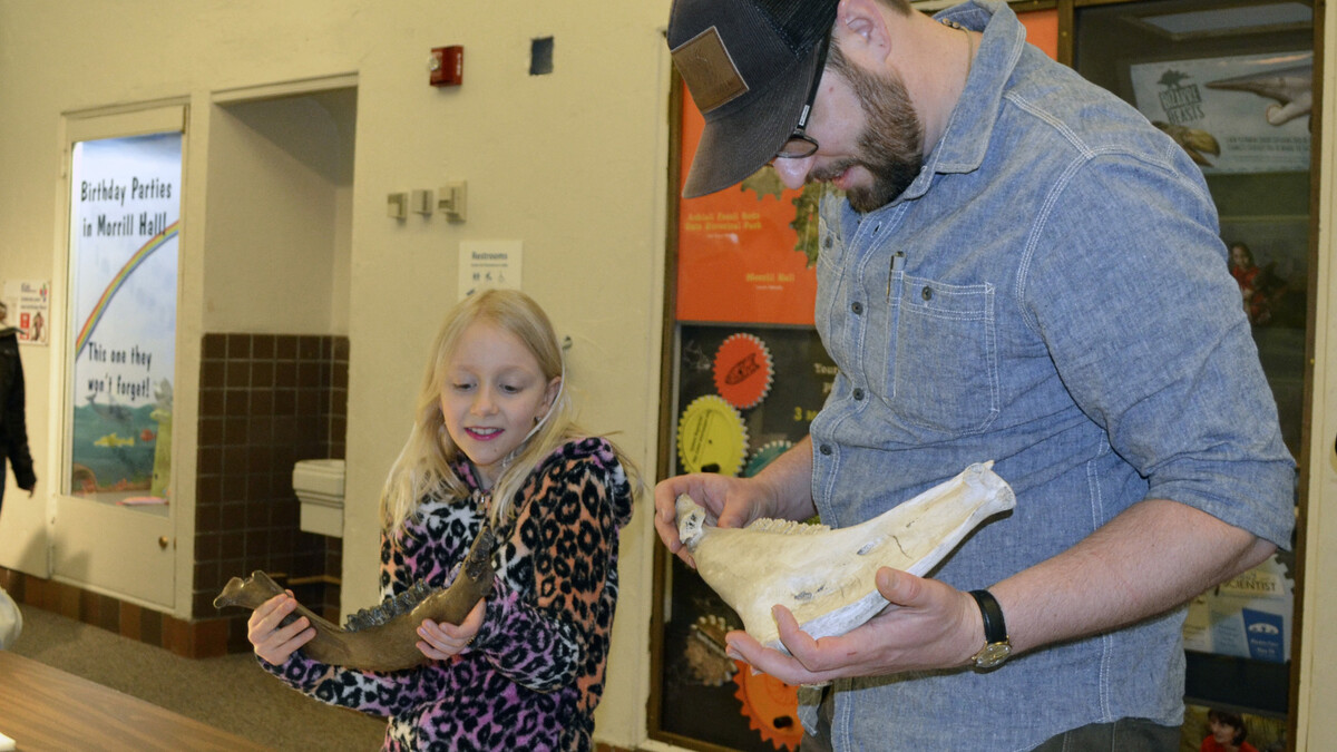 Visitors examine fossils in Morrill Hall.