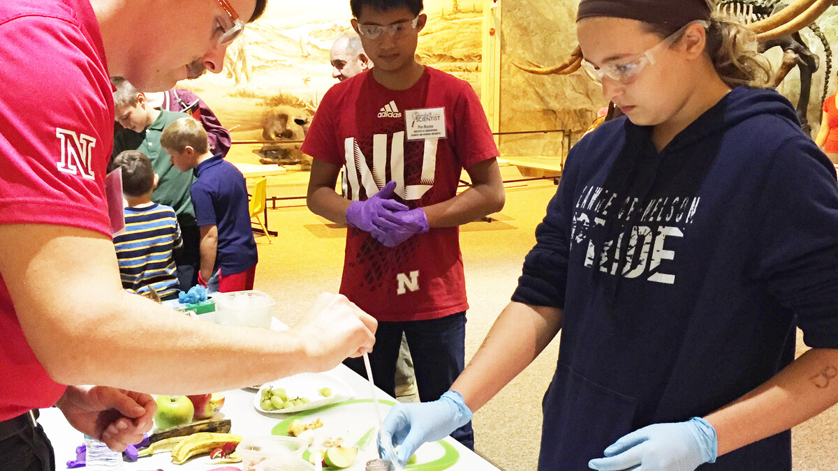 Students and families participate in a Sunday with a Scientist event at the University of Nebraska State Museum. UNL's Science Literacy Initiative served as a guest presenter to help educate young people on topics relating to science, technology, engineering and math.