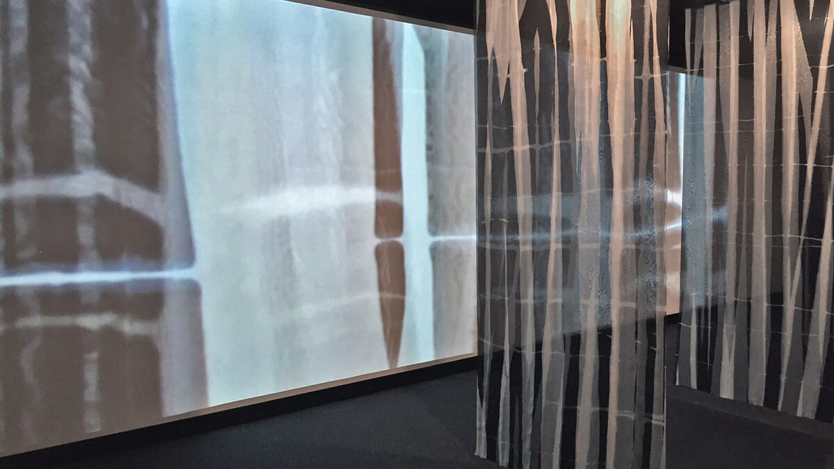 Elin Noble's installation "Vox Stellarum" at the Robert Hillestad Textiles Gallery includes a complementary video, displayed via a new projection software system.