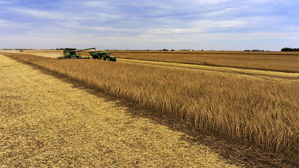 The average Nebraska agricultural land value has declined by about 10 percent over the past year.