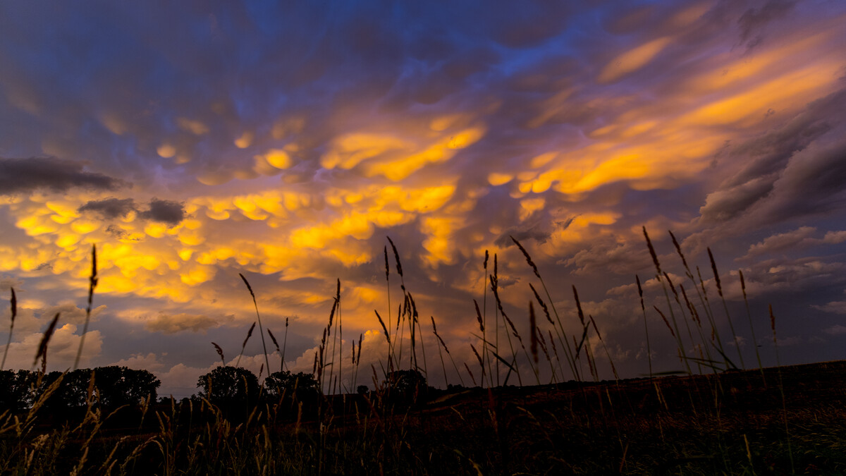 A new project led by the University of Nebraska-Lincoln will help high school students in Nebraska develop climate literacy.