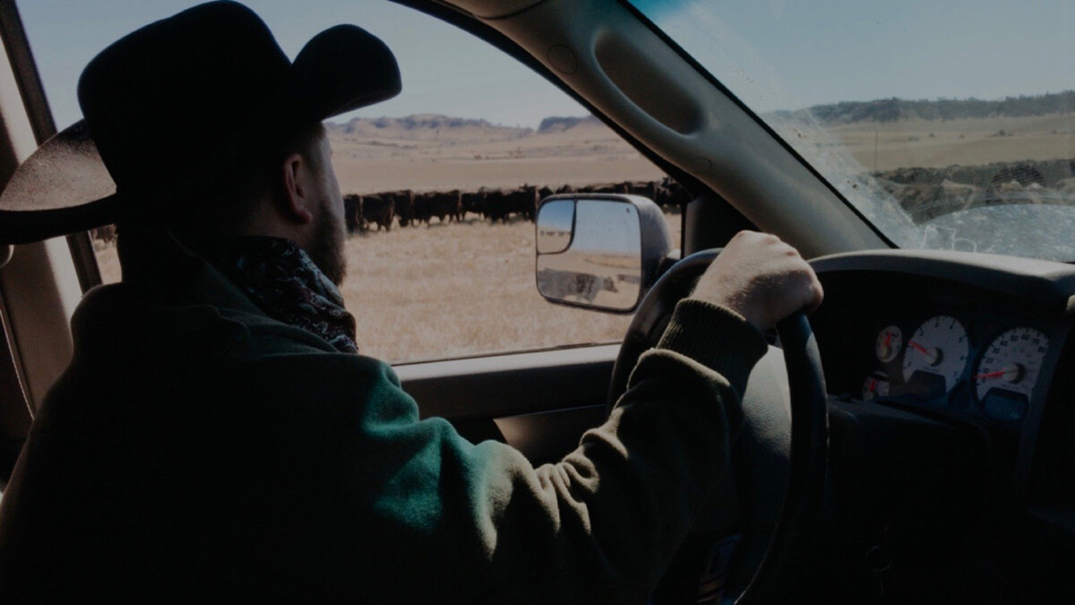 Kane Wellnitz, a senior agribusiness major at Nebraska, is doing his schoolwork from the driver’s seat of his pickup on a bluff on his family’s ranch.