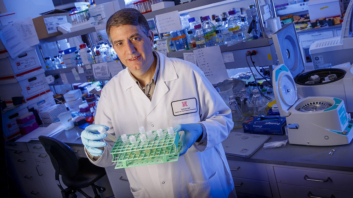 Husker biochemist Ed Cahoon, wearing a white labcoat and blue gloves, holds a tray of test tubes in a laboratory.