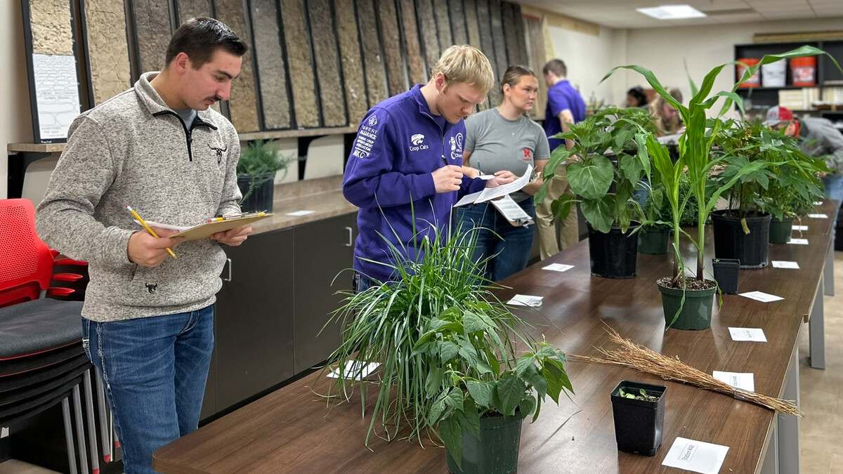 Two young men and a young woman hold clipboards in front of a row of tables with various plants.