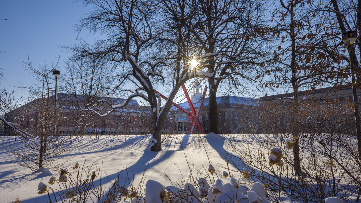 Cold Snap Snow Campus