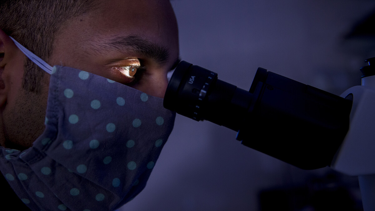 Jaideep Sahni, a graduate student in biomedical engineering, peers through a microscope in Ryan Pedrigi's Scott Engineering Center lab.