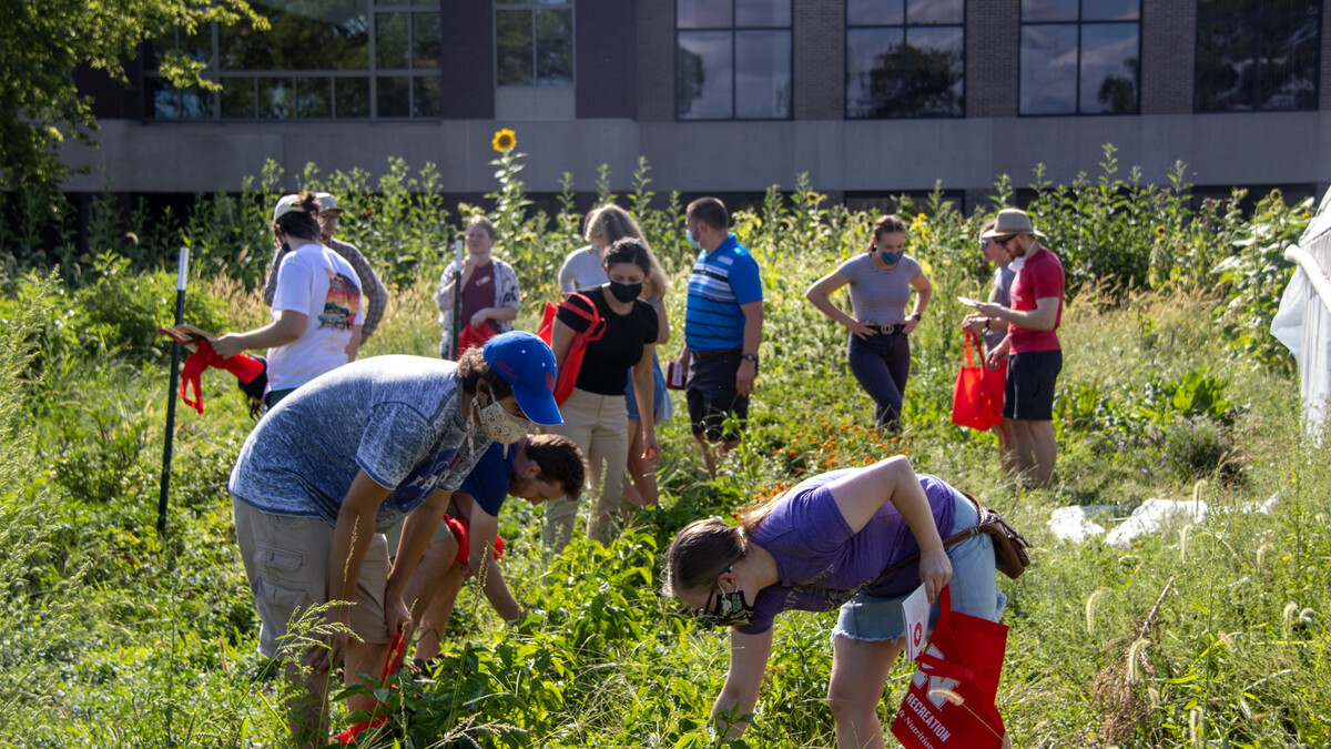 Student pick their produce at the "Pick Your Produce" event