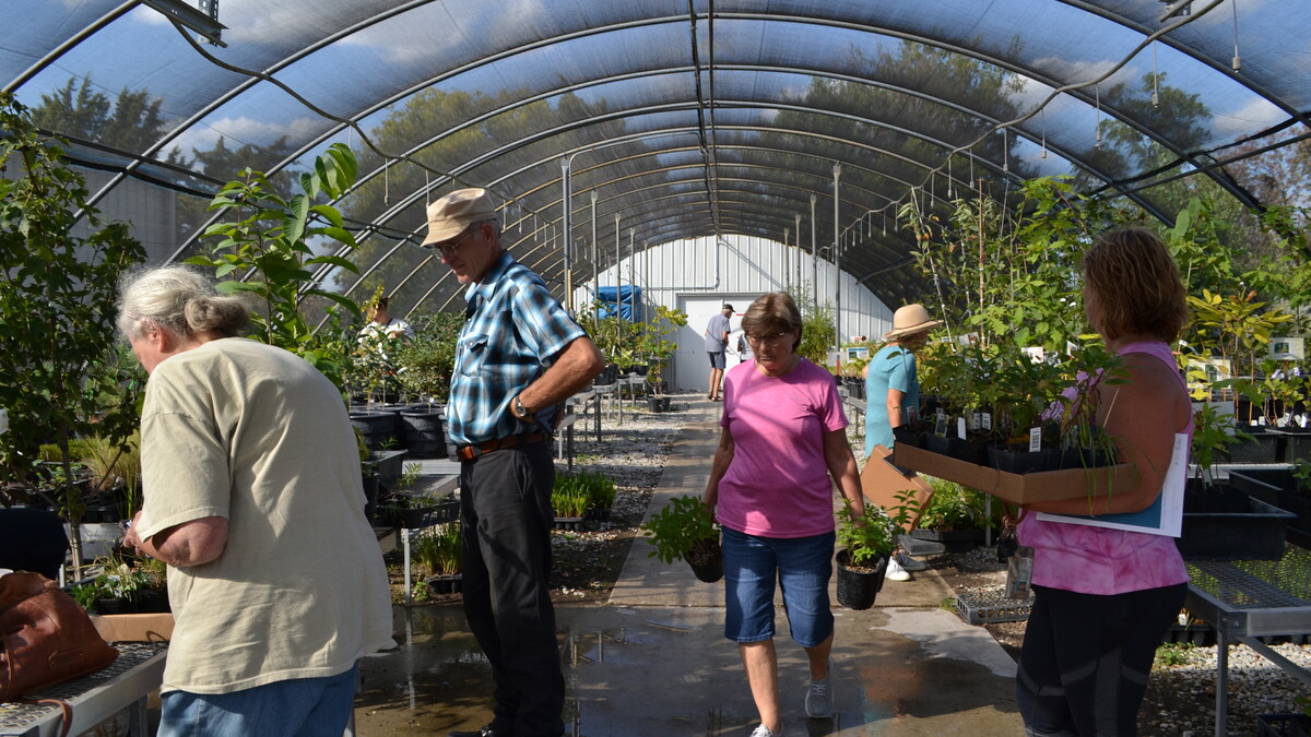 NSA's October plant sales will offer native perennials, herbs, trees and shrubs. 