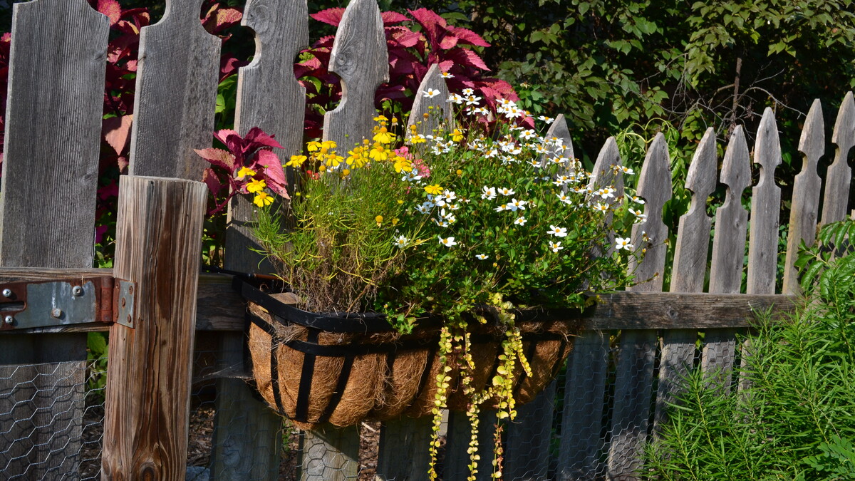 A flower box from the 2022 Omaha Garden Walk. 