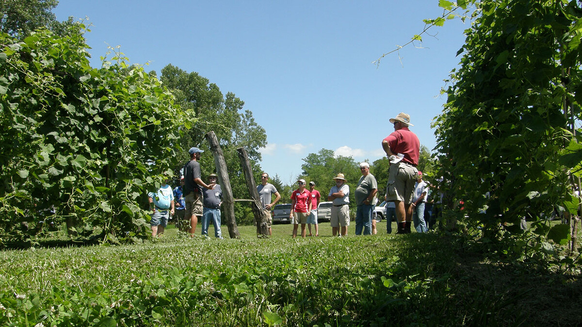 Viticulture field day