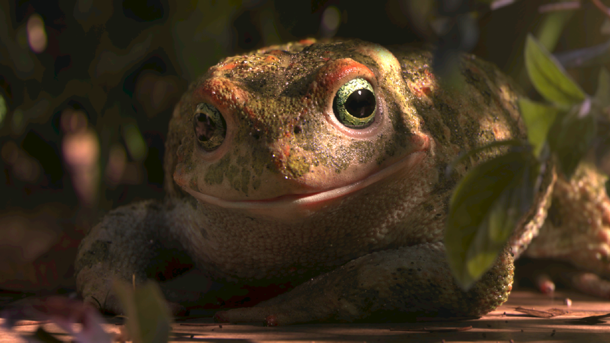 Scene from the Oscar-nominated short "Garden Party." The Ross will host "Oscar Shorts 2018" from Feb. 9-22.