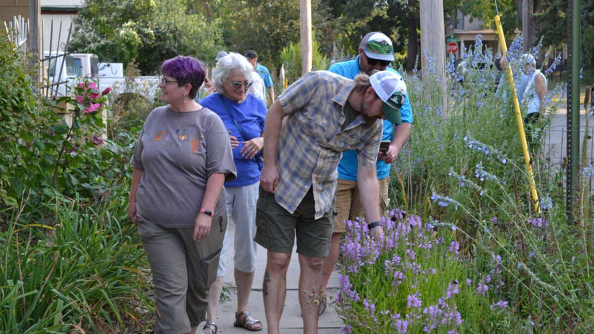 Participants stroll through a garden of native grasses and flowers on a Garden Walk.
