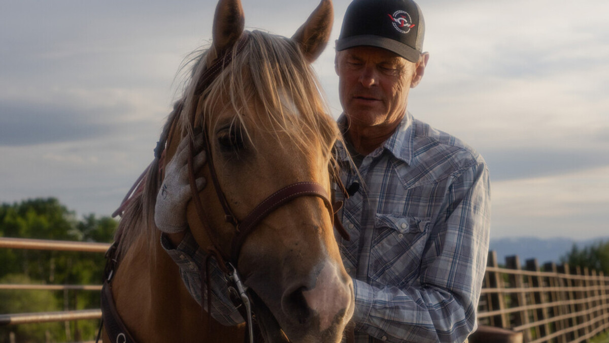 John Cook works with his horse.