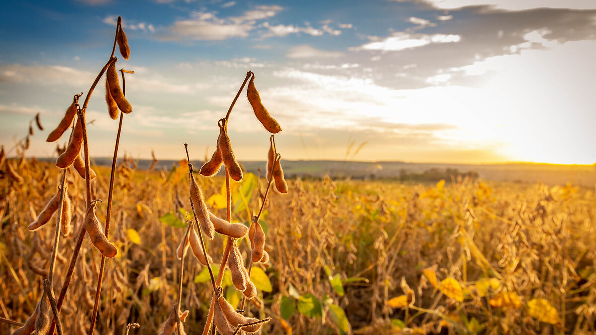 With a growing population, growing demand for resources and increasing disruptions to water and food systems, it is vital to find sustainable and practical ways to overcome food and water security challenges.