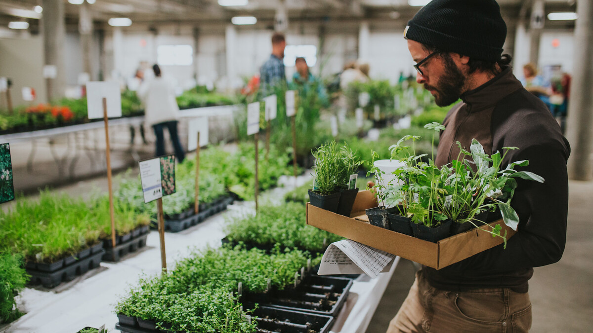 Shopping for plants at the Spring Affair Plant Sale, to be held April 27-29 at the Lancaster Event Center. 