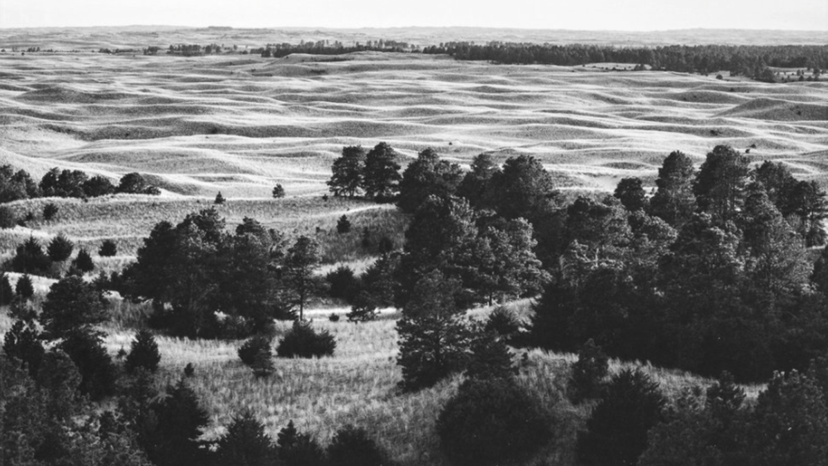 A black and white photograph from Dana Fritz's new book depticts Nebraska National Forest