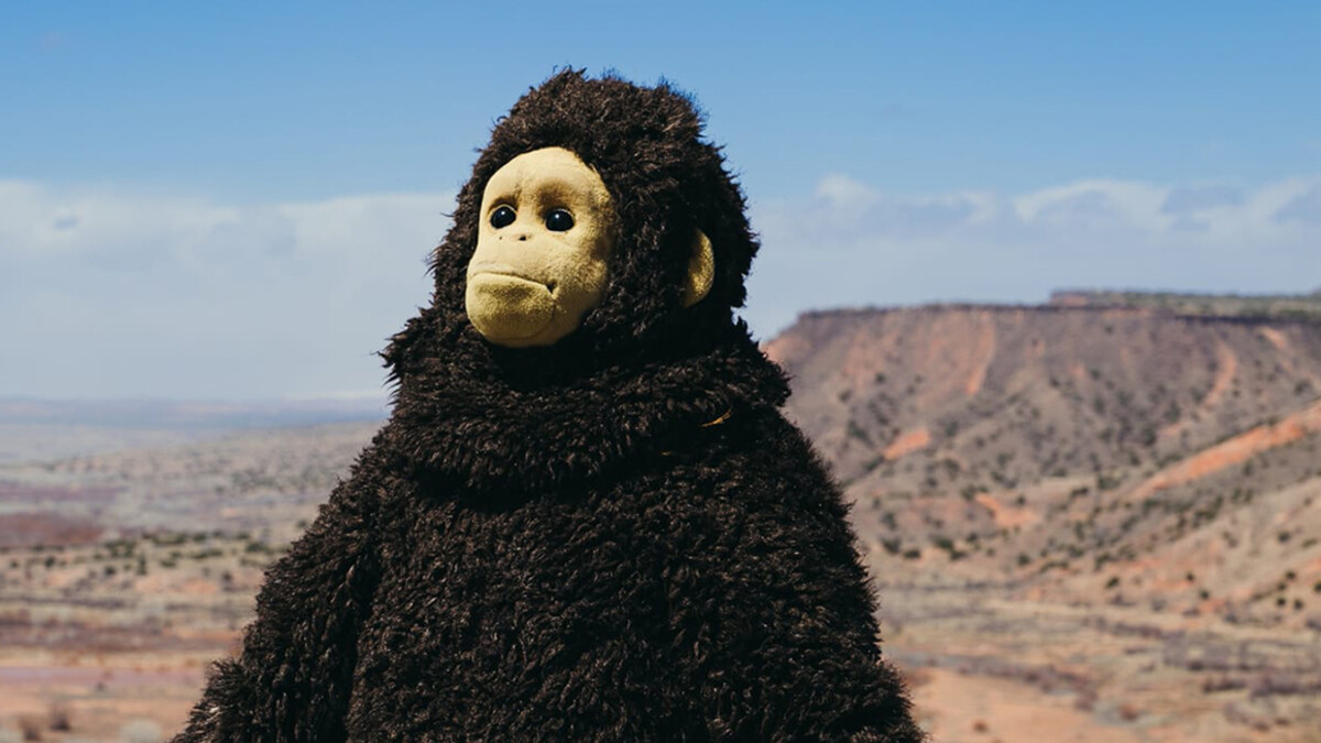Nina Conti dons a gorilla suit as she goes on a road trip.