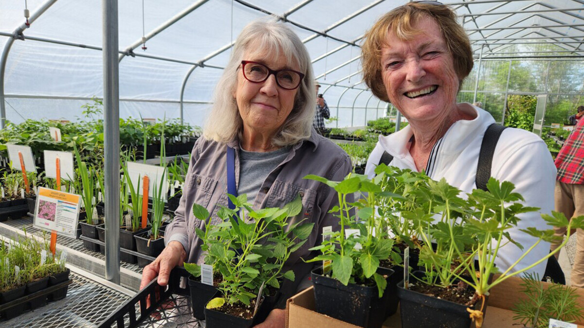 Women pick up plants at NSA plant sale.