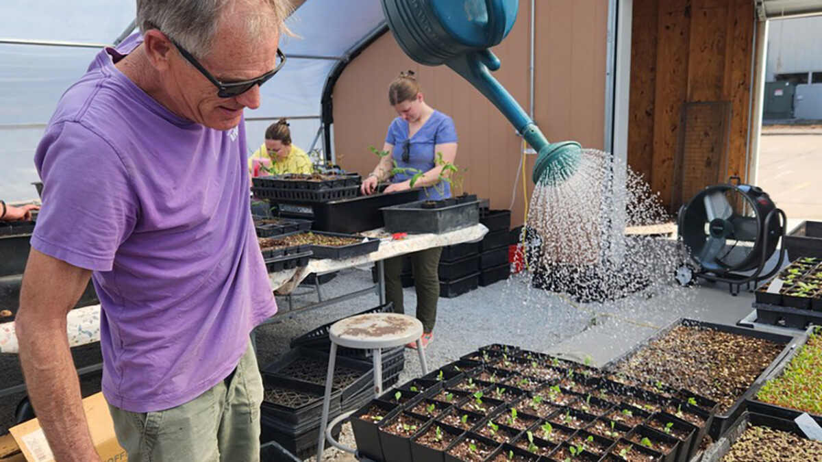 guy watering plants.