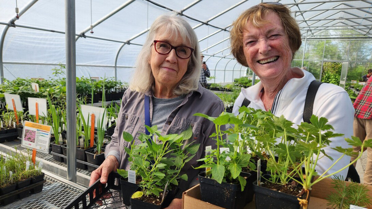 Two women holding plants at a plant sale.