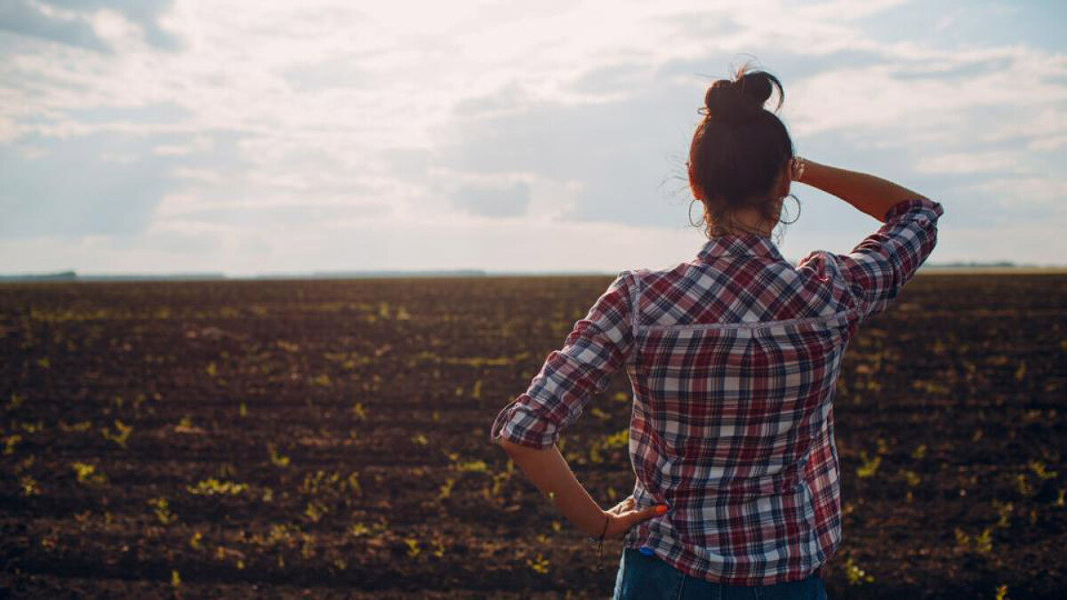 The 2023 Soils School at Nebraska Innovation Campus in Lincoln will provide three soil and water, and eight nutrient management CEUs for certified crop advisors.