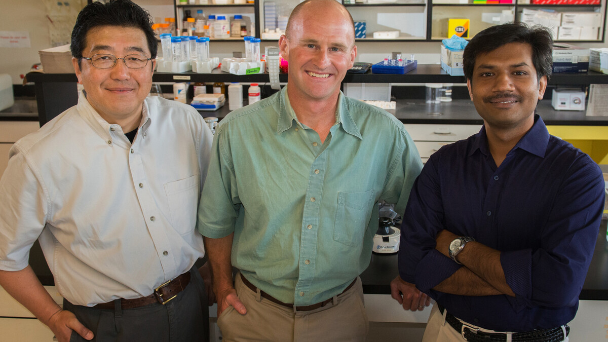 Research team members (from left) Hideaki Moriyama, Jay Storz and Chandrasekhar Natarajan.