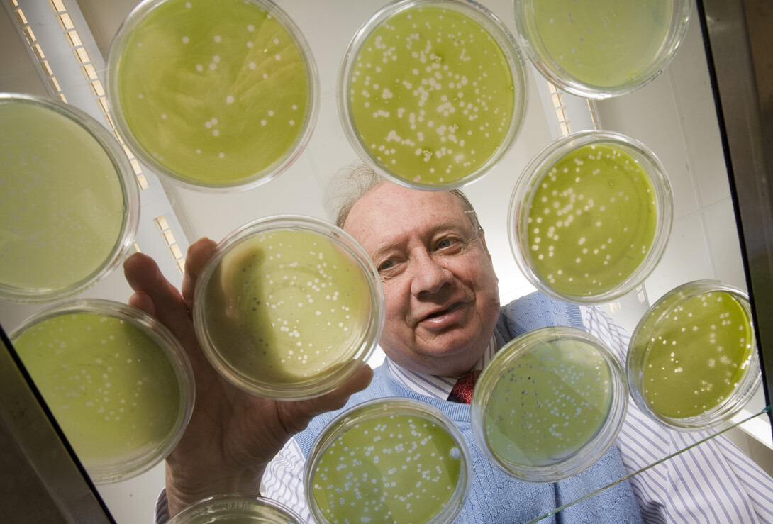 James Van Etten is the William Allington Distinguished Professor of Plant Pathology at UNL and a co-director of the Nebraska Center for Virology.