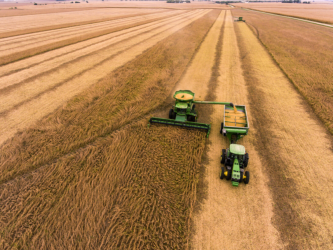 Soybeans are harvested on a farm near Friend.