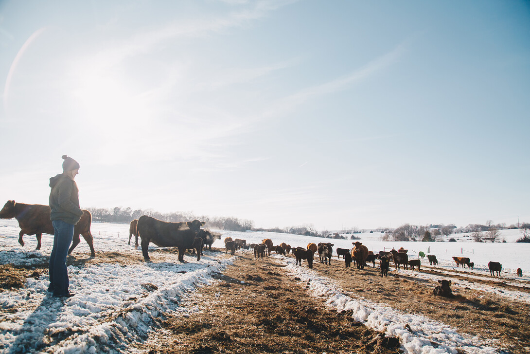 Esch Oak Barn Beef