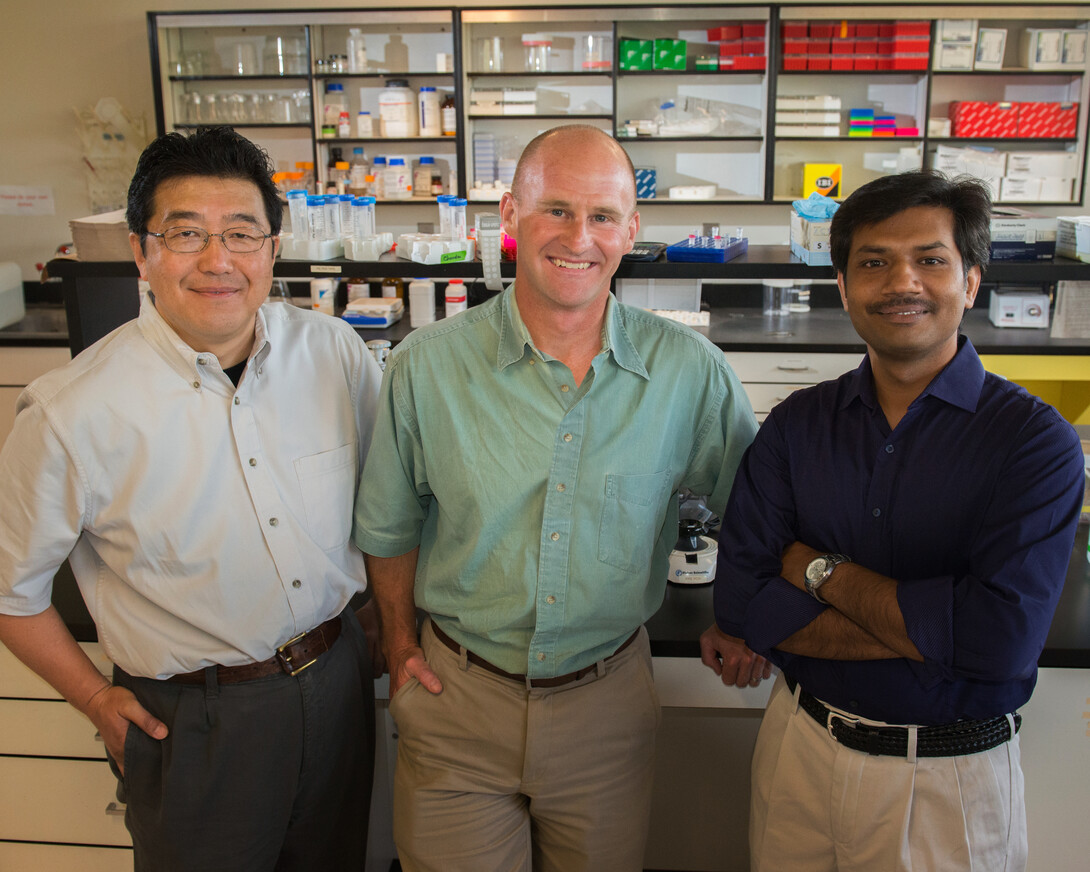 (From left) Hideaki Moriyama, Jay Storz and Chandrasekhar Natarajan. Moriyama is an associate professor of biological sciences at UNL, Natarajan is a postdoctoral researcher in Storz' laboratory.