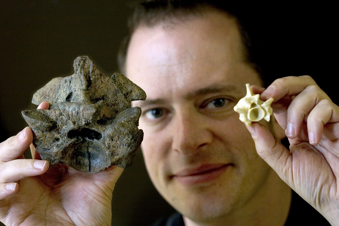 Jason Head, assistant professor in the Department of Earth and Atmospheric Sciences at UNL and curator of vertebrate paleontology in the University of Nebraska State Museum, shows the vertebrae size difference between a modern Anaconda (right) and Titanoboa cerrejonesis (left).