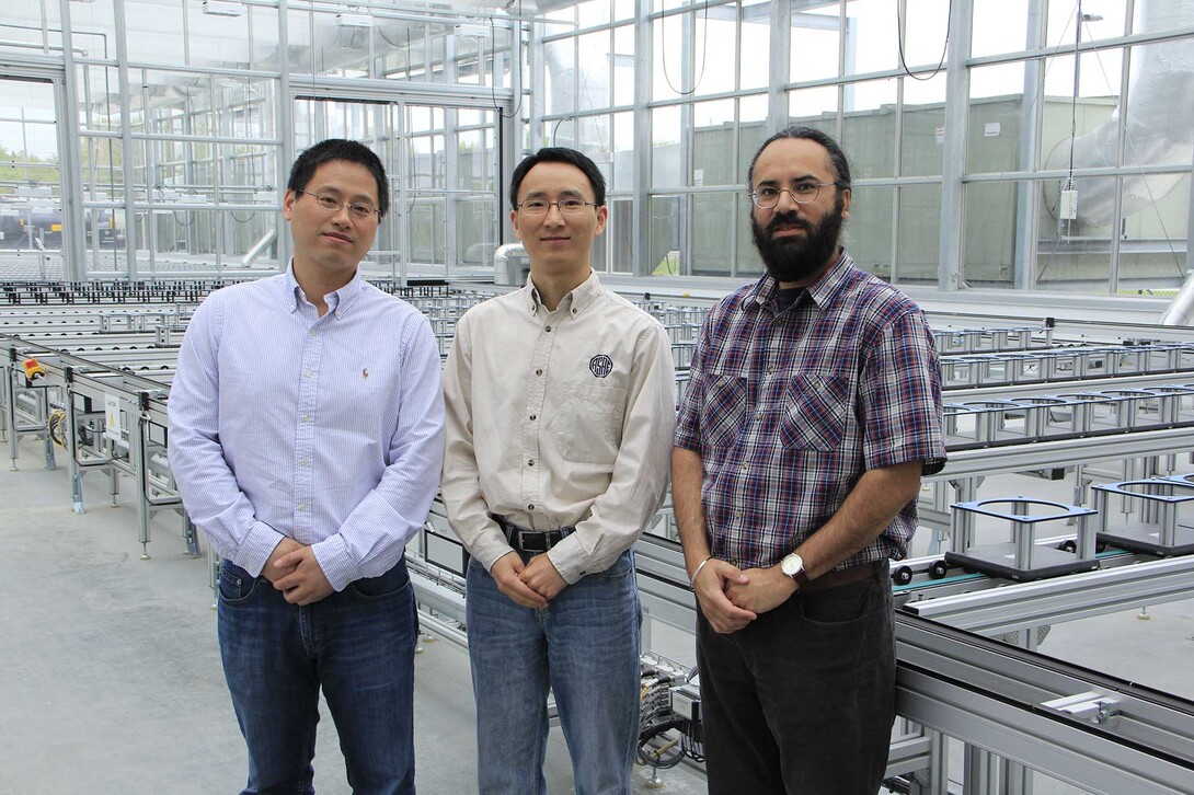 Hongfeng Yu (from left), Yufeng Ge and Harkamal Walia have received a National Science Foundation grant to develop a multi-wavelength laser ranging and imaging instrument for phenotyping plant shoots at the whole-plant level.