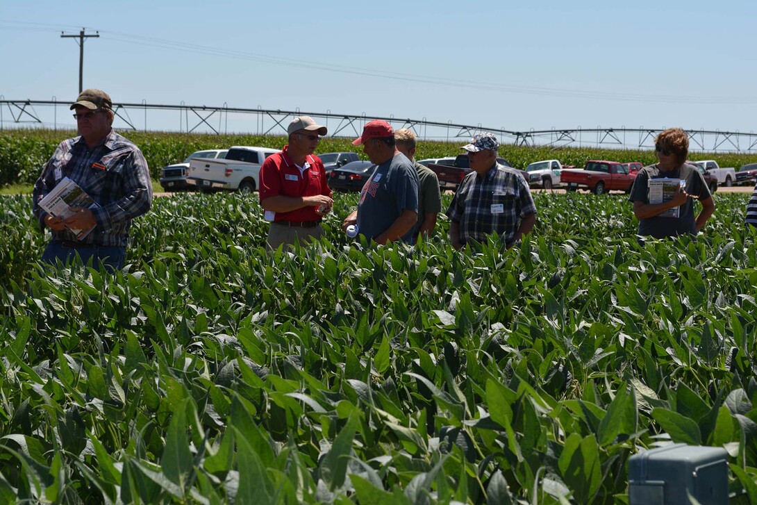 Producers learn about the latest research and technology to assist their soybean production and management decisions at a 2015 Soybean Management Field Day. The 2016 field days will be Aug. 9-12 at farms near Orchard, Chapman, Cordova and Schuyler.