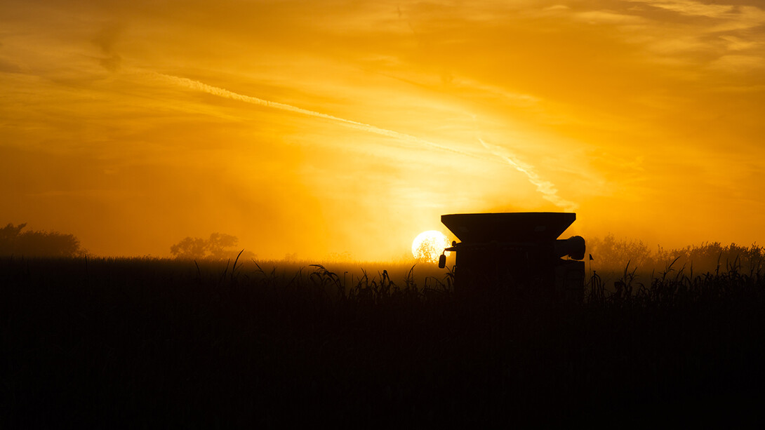 Although annual farm income will remain significantly below the peaks seen in the early years of the decade, it is expected to rise slightly through 2020.